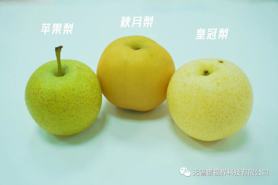 DSC01588.JPG