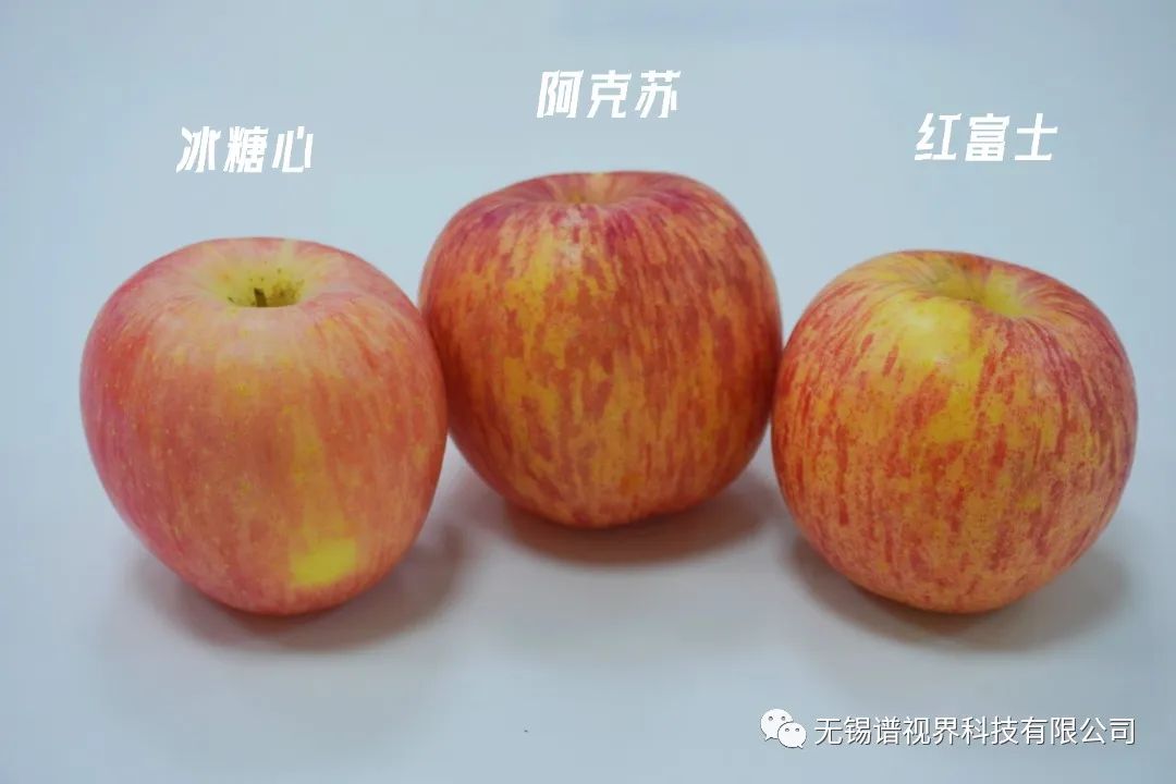 DSC01574.JPG